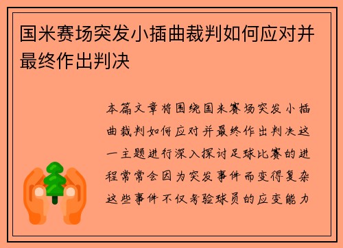 国米赛场突发小插曲裁判如何应对并最终作出判决