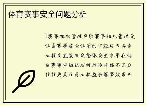 体育赛事安全问题分析